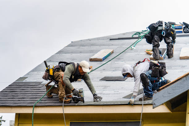 Professional Storm Damage Roof Repair technician working in Columbus, IN